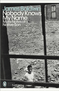 Nobody Knows My Name : More Notes Of A Native Son