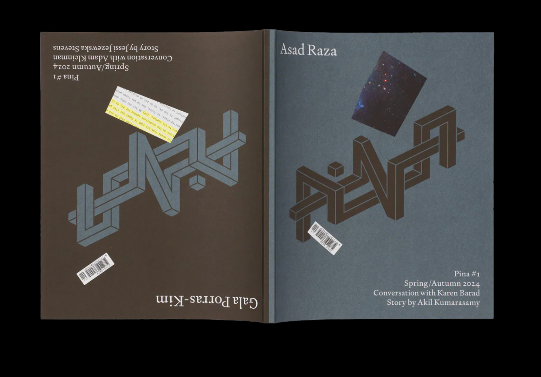 Pina issue #1