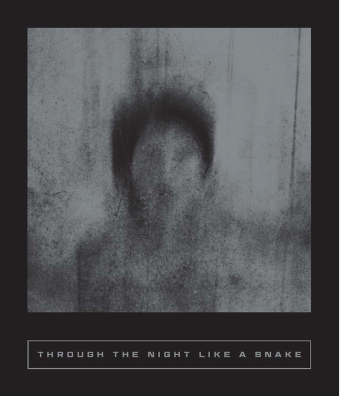 Through the Night Like a Snake : Latin American Horror Stories