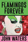 Flamingos Forever: A Screenplay